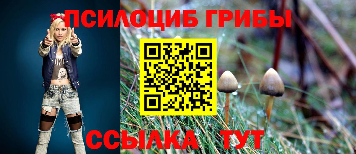 Майский  Псилоцибиновые грибы мицелий  Галлюциногенные грибы Cubensis  Вход с VPN 